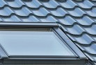Forrestonskylight-replacements.jpg; ?>